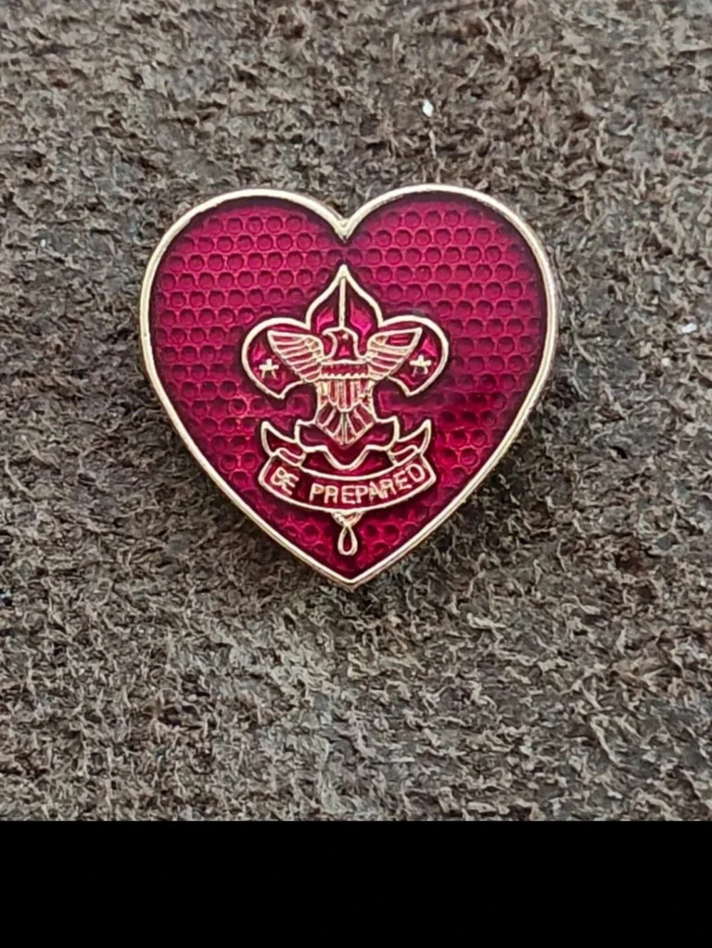 1950s Boy Scouts of America (BSA) Life Scout Rank Parent Gold Tone Enamel  Pin.